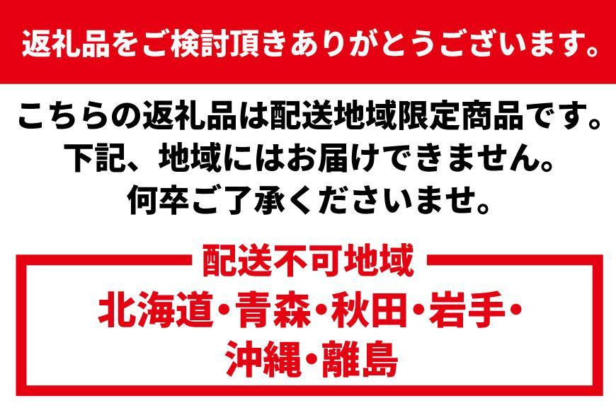 活 伊勢海老 1匹（約300ｇ）南紀黒潮イセエビ 年末年始 お正月 お届け可｜期間限定 漁師直送 海鮮 とれたて 人気