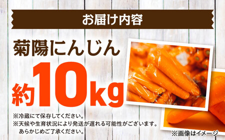 【4月中旬より順次発送予定】【数量限定】菊陽町の春にんじん 約10kg【有限会社さんふれあ】[BHAK004]