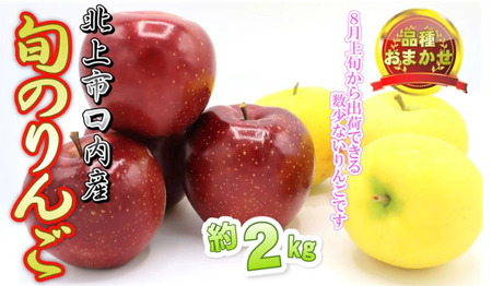 予約受付 8月上旬～発送予定　【 品種おまかせ 】りんご 約 2kg セット 北上市/口内産 りんご 果物 フルーツ おやつ お土産 お歳暮 お中元 お祝い 子供 ファミリー 家庭 金成園 岩手県 北上市 A0170　
