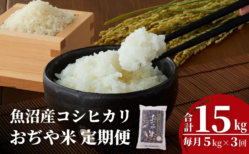 令和7年産魚沼産コシヒカリ定期便 5kg×3回（毎月お届け）（3か月連続お届け）JA魚沼
