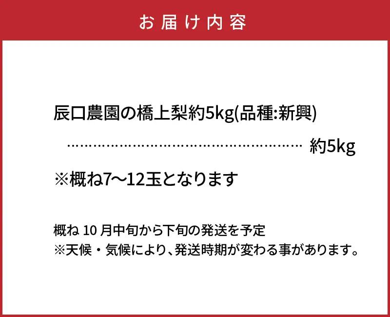 【先行予約】令和8年発送 /辰口農園の橋上梨約5kg(品種:新興)_1288R
