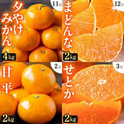 ふるさと納税 八幡浜市 【発送月固定定期便】「こたつの上の冬物語」人気の4品種!【H49-70】全4回