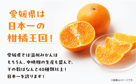 愛媛県産 大人気の手作り「温州みかん」100%ストレートジュース（720ml×6本）　愛媛県大洲市/峯田農園[AGBT014]