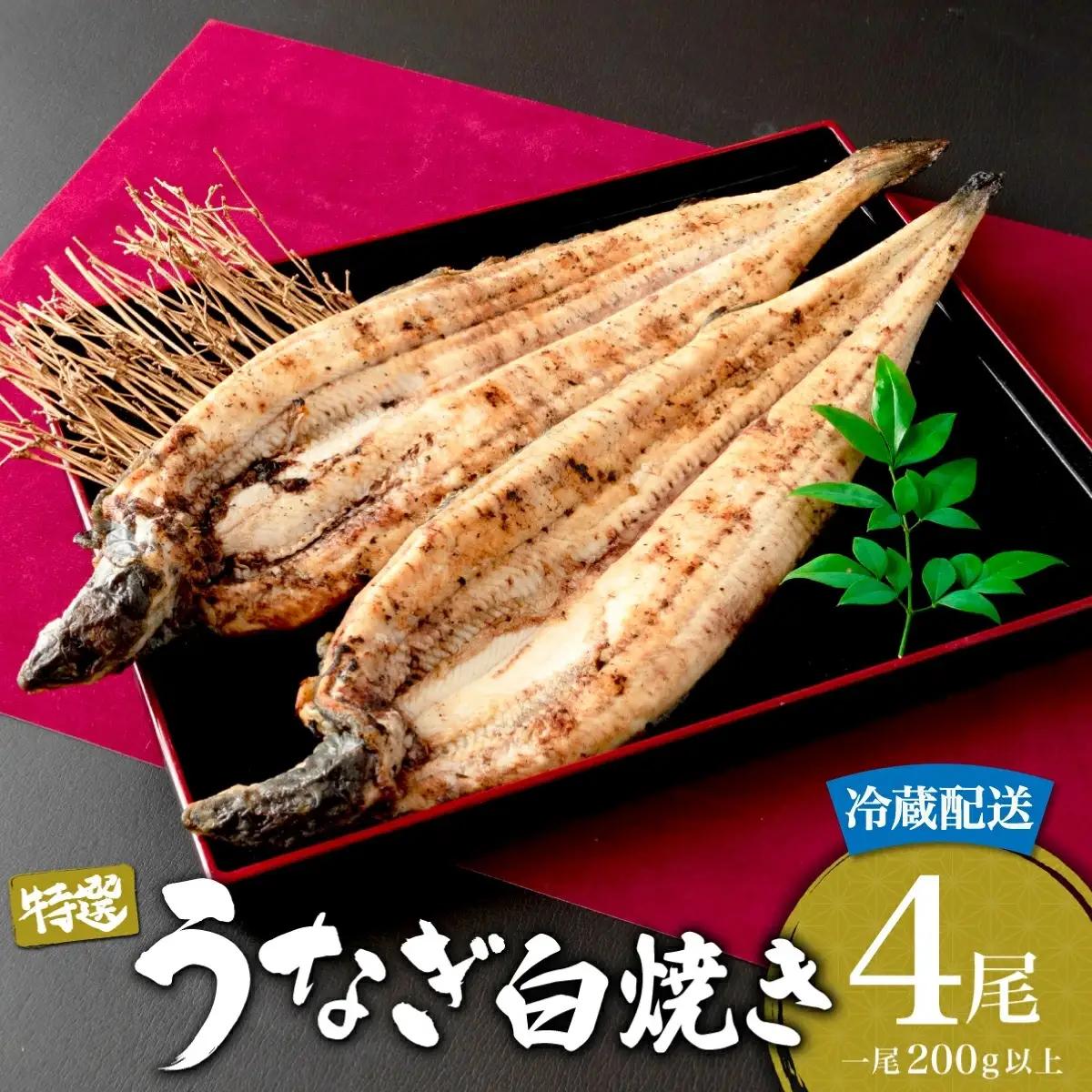 うなぎ白焼き 800g (200g×4尾) 