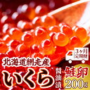 【ふるさと納税】【3ヶ月定期便】＜網走産＞いくら醤油漬(鮭卵)200g（200g×1）【 いくら イクラ いくら醤油漬け イクラ醤油漬け 醤油漬け 醤油漬 いくら醤油漬 イクラ醤油漬 定期便 鮭 さけ 北海道 冷凍 人気 ランキング おすすめ オホーツク 網走市 送料無料 】 ABW017