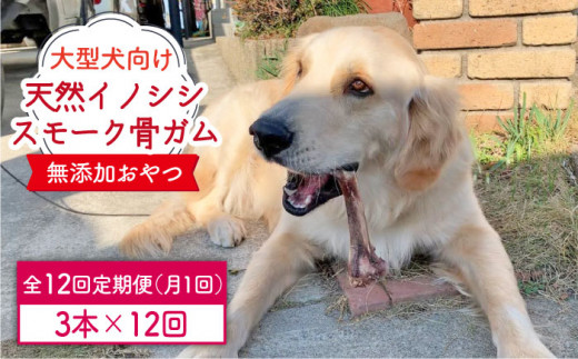 
＜12回定期便＞大型犬向け☆天然いのししのスモーク骨ガム3本 わんこin食堂/吉野ヶ里町 [FCG072]
