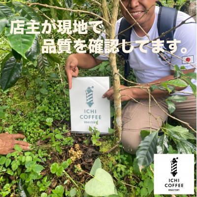 ふるさと納税 掛川市 ジャコウネコ由来の希少コーヒー 野生コピルアック珈琲・掛川自家焙煎で丁寧に仕上げた贈答品 100g |  | 01