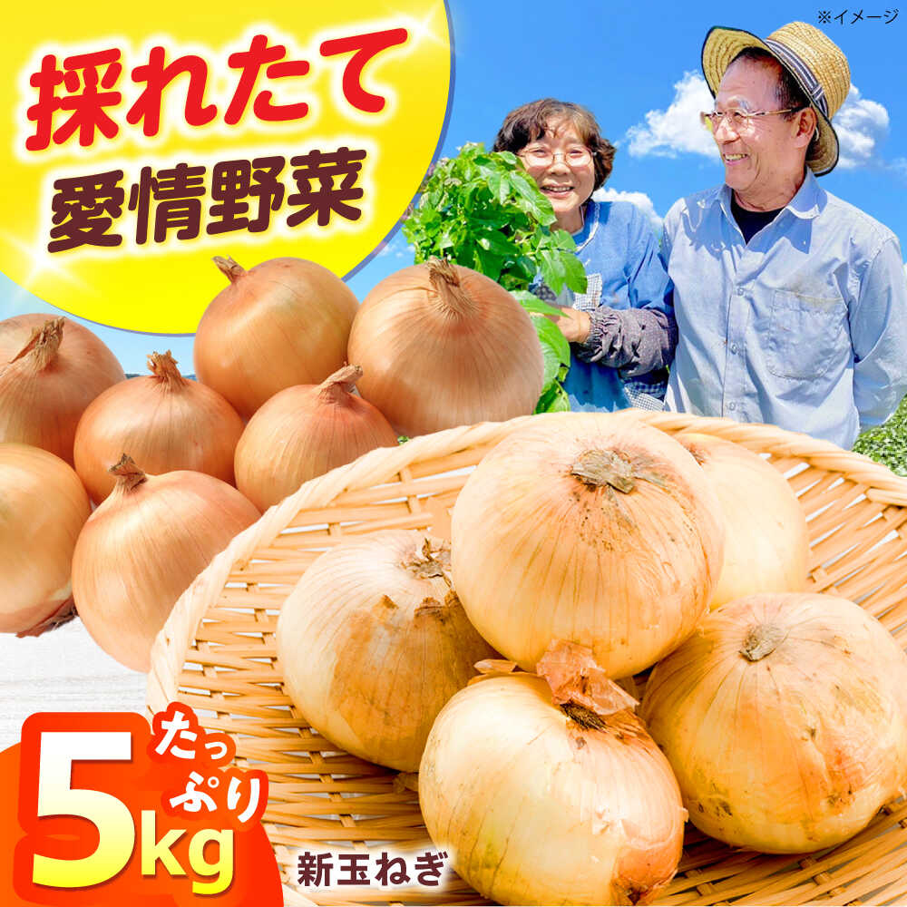 【ふるさと納税】新鮮！しゃきしゃき！ 七宝早生 新玉ねぎ 5kg 野菜 やさい 新鮮 産地直送 旬 人気 お取り寄せ たまねぎ 玉ねぎ 新玉ねぎ 新たまねぎ 農作物 ご当地 料理 サラダ セット 人気 おすすめ 大阪府高槻市/高槻あぐり[AOCS026]