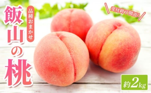 【先行予約】桃 約 2kg もも モモ 白桃 ピーチ 果物 くだもの フルーツ 果実 アイス ジェラート シャーベット ケーキ ジュース ジャム 飯山の桃 旬 新鮮 箱入り 冷蔵 贈答 ギフト プレゼント お中元 香川県 丸亀市