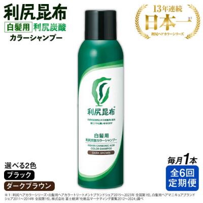 ふるさと納税 糸島市 【全6回定期便】[白髪用]利尻炭酸カラーシャンプー 株式会社ピュール[AZA049]