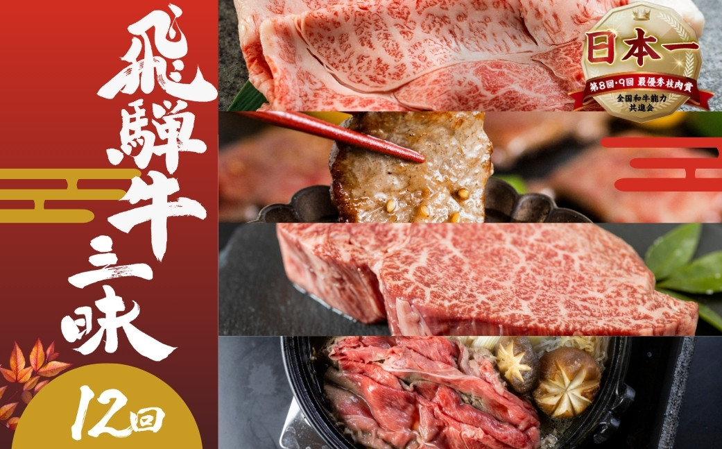 
                  【定期便】飛騨牛三昧 定期便 12回 12ヶ月 1年 食べ比べ A5等級 5等級 a5 牛肉 肉 和牛 国産牛 黒毛和牛 焼肉 やきにく ヤキニク 赤身 霜降り お楽しみ トキノ屋食品 本巣市 定期便 肉 お楽しみ 定期便 牛肉  [mt1729] 50万円 500000円
                