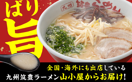 焼豚高菜生ラーメン Ｗチャーシュー8食セット 広川町 / ワイエスフード株式会社[AFAE006]