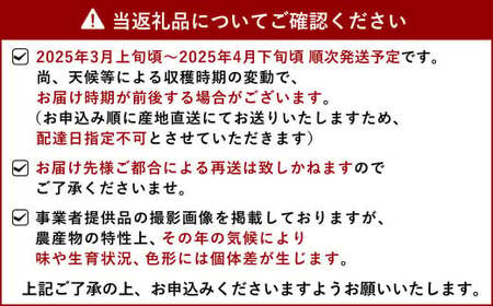 【先行予約】不知火 約5kg（15～22玉）【ひがし果樹園】【2025年3月上旬～4月下旬発送予定】柑橘 果物