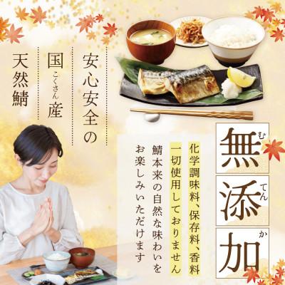 ふるさと納税 別海町 訳あり 北海道産 塩サバ 4kg 小分け 無添加・国産サバフィレ ホイル焼きが美味しい天然鯖 |  | 02