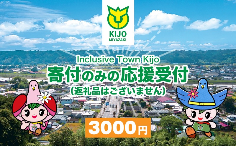 【宮崎県木城町】寄付のみの応援受付(返礼品はございません) 3000円_ K00_0005
