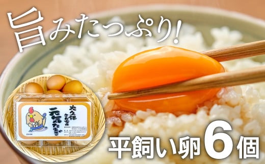 旨味たっぷりの平飼い卵 6個