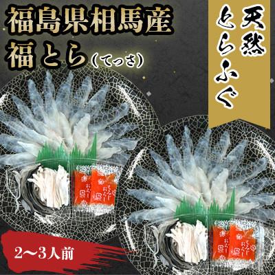 ふるさと納税 相馬市 【常磐もの新名物!福とら】天然とらふぐ てっさ 2-3人前 120g (刺身40g/皮20g×2皿)
