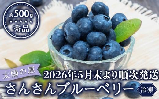 
            【早期予約開始!!2026年5月末より順次発送】【秀品】 ブルーベリー 500g × 1 パック 冷凍 健康 食品 果物 フルーツ ベリー そのまま おやつ 朝食 加工 お菓子 製菓 シャーベット ジャム ソース スムージー いちかわファーム 高知県 須崎市 IF022
          
