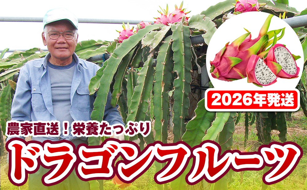 
                  【2026年発送】農家直送 栄養たっぷりドラゴンフルーツ 2kg
                