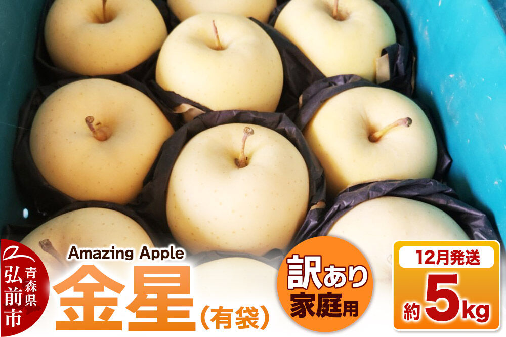 【26年12月発送】りんご 金星（有袋）【訳あり】家庭用 約5kg [りんご 金星 有袋 訳あり 家庭用 5kg アップル おいしい 果実 果物 黄色 美味 林檎 青森県 弘前市]