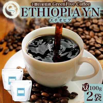ふるさと納税 帯広市 コーヒー豆 エチオピア 100g×2袋 品質すべてにこだわったコーヒー 北海道 帯広市