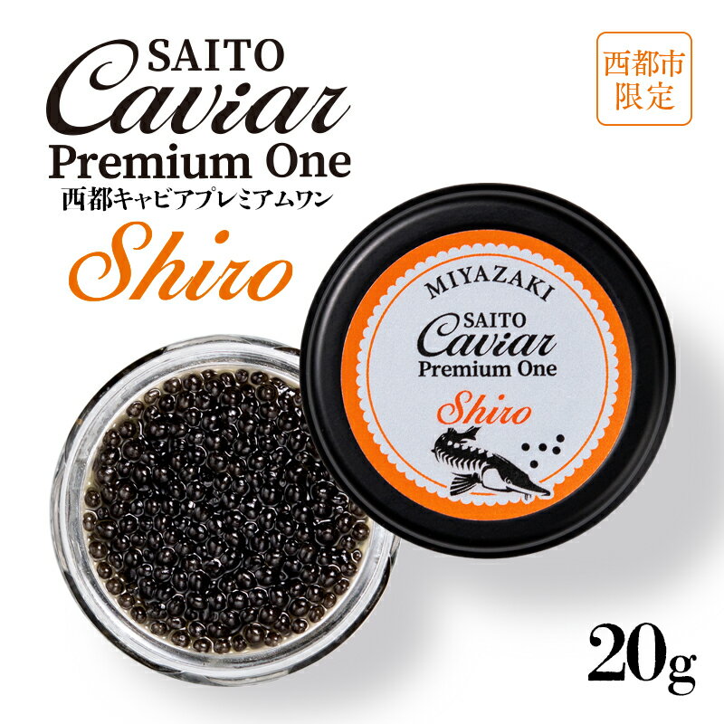 【ふるさと納税】キャビアSAITO CAVIAR PREMIUM ONE SHIRO（20g）「西都限定」「国産」キャビア＜5.5-7＞西都市 化粧箱 シェルスプーン付