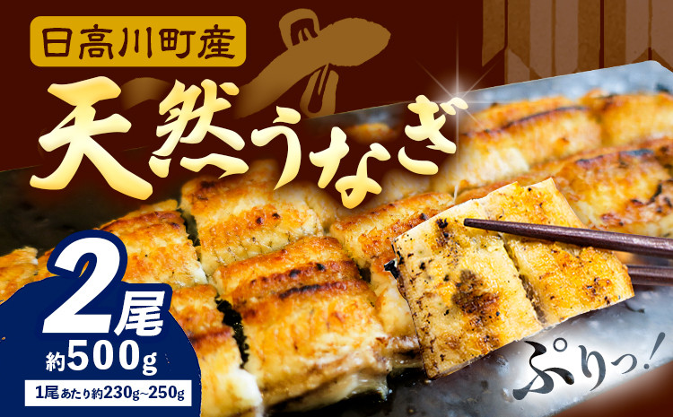 
                  天然 うなぎ 日高川町産 2尾 約500g 日高川産 蒲焼 の たれ付き 川漁師なおべ《6月中旬-8月末頃出荷》 和歌山県 日高川町 魚 鰻 蒲焼き 白焼き バーベキュー 天然 真空 パック 送料無料
                