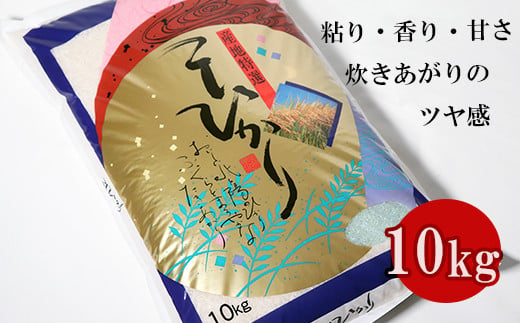 
≪令和6年産≫ 新米 岐阜 コシヒカリ 約10kg
