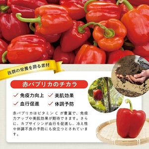 1182PA700G　冷凍パプリカペースト700g(100g×7袋)