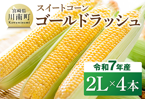 【令和7年発送】宮崎県産とうもろこし　スイートコーン「ゴールドラッシュ」2L×4本【新鮮 農家直送 トウモロコシ 産地直送 季節限定 期間限定 宮崎県産 九州産 野菜 】[D09106]