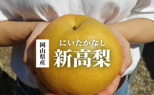 
            【2026年先行予約】新高梨 ご家庭用 3-6玉 (岡山県産)【KF-C020-01】
          