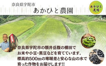 【予約販売】宇陀黒大豆枝豆(要予約)2kg(500ｇ×4袋) / ふるさと納税 あかひと農園 黒大豆枝豆 季節限定 ビール 奈良県 宇陀市
