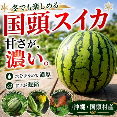 【2027年2月中旬から順次発送】島袋さんの冬スイカ 1玉(3.5～4.5kg)【配送不可地域：離島】