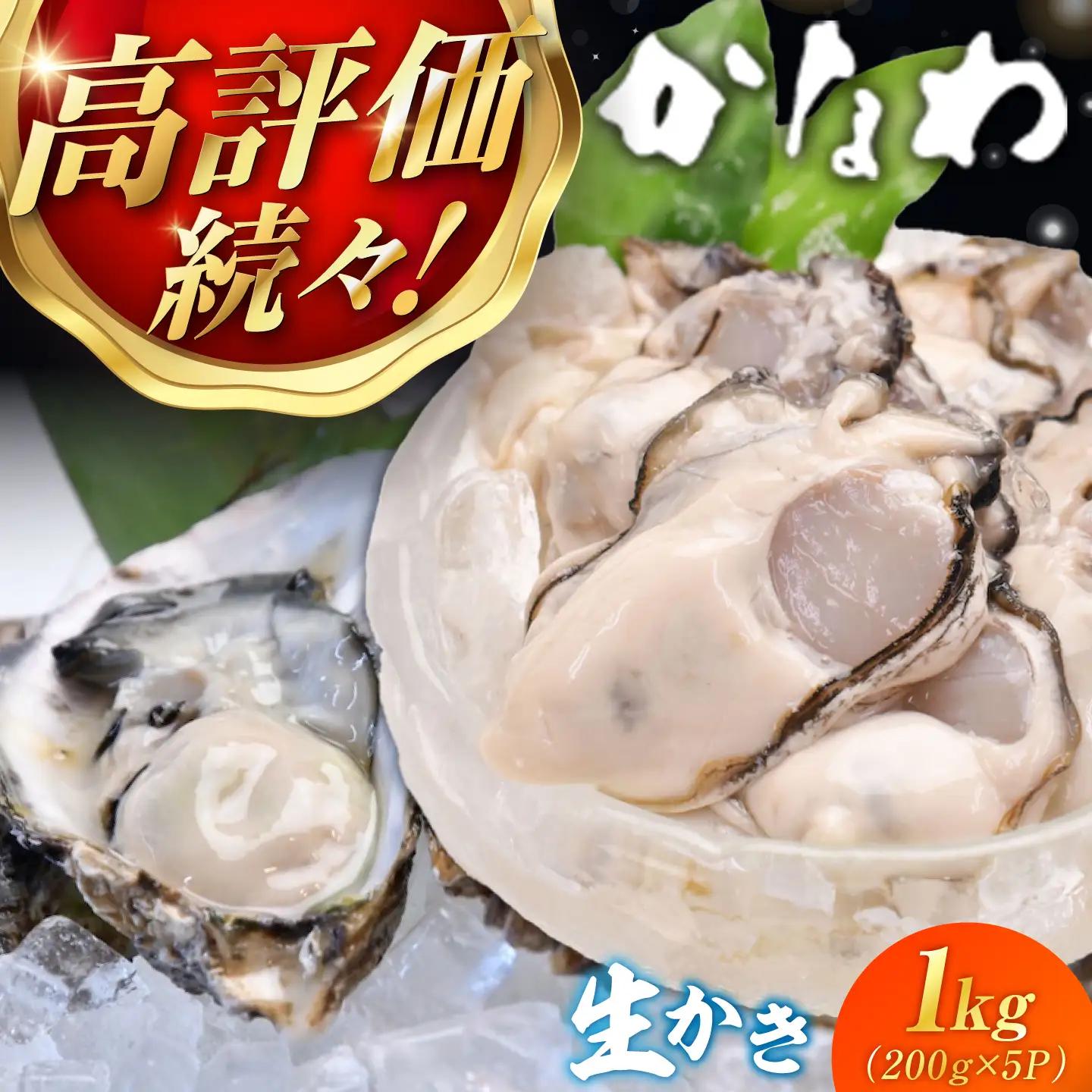 生牡蠣むき身1kg 牡蠣[XBP004]