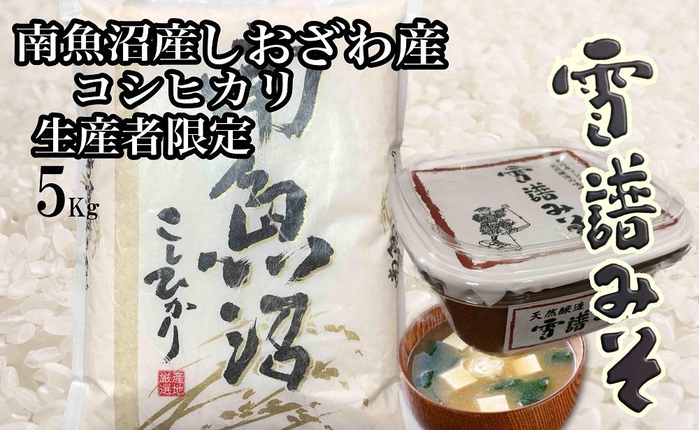 【令和7年産】【定期便12回】【南魚沼炊合せ】生産者限定  南魚沼しおざわ産コシヒカリ５Kg　雪譜みそ450ｇセット【銘柄米 ブランド米 精米 こしひかり コシヒカリ 味噌 セット 魚沼産 新潟米 産地直送 お米 米 こめ】