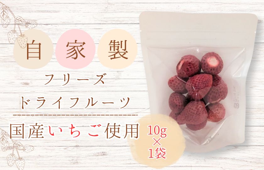 メルカドレグメス　フリーズドライフルーツ　いちご ／ フリーズドライフルーツ フリーズドライ フルーツ 果物 くだもの いちご イチゴ 苺 自家製