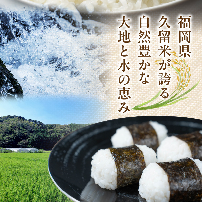 金のめし丸夢つくし　36194　3kg（1袋）　令和7年産 _ 3kg × 1袋 国産 米 福岡県産米 白米 精米 お米 夢つくし オリジナル米 金のめし丸 おいしい ツヤツヤ もちもち ほのかな甘み