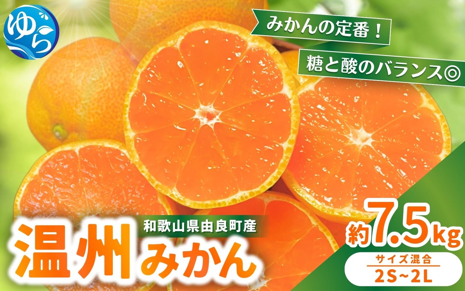 
            【先行予約】農家直送 和歌山県由良町産 温州みかん 約7.5kg 2S～2Lサイズ混合 ※2025年11月中旬頃～2025年12月中旬頃に順次発送 / 農家直送 くだもの  果実  柑橘 果物 フルーツ 国産 和歌山県 由良町 ご家庭用 人気 おすすめ【nktn010】
          