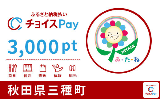 
三種町チョイスPay 3,000pt（1pt＝1円）【会員限定のお礼の品】
