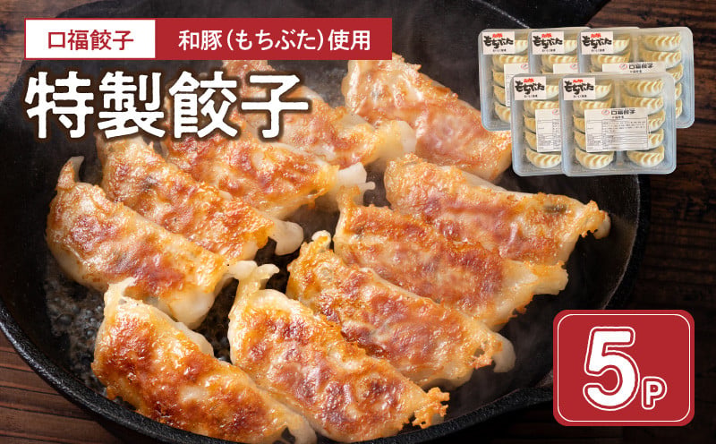 
                  口福餃子「和（もち）豚」使用 特製餃子（冷凍生） _U119-0001
                