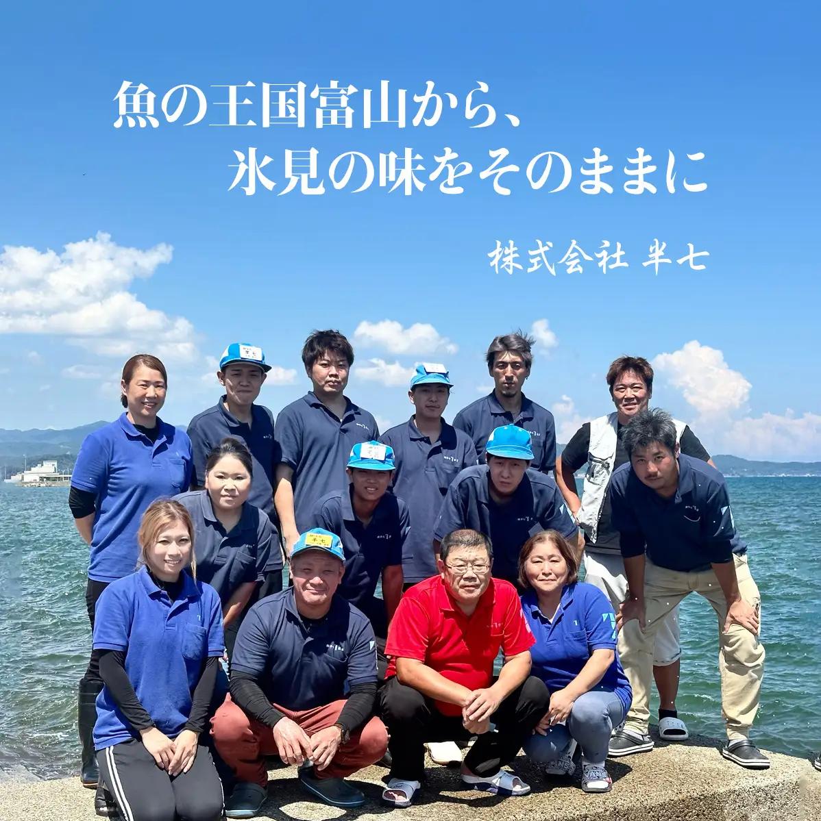 【隔月6回定期便】厳選！半七のおまかせ干物 詰め合わせセット（７種） 富山県 氷見市 干物 おかず