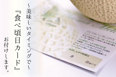 【毎月定期便】訳ありアローマメロン 2玉 全6回 6268
