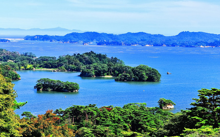 【令和7年度産】松島産ひとめぼれ5kg×2袋 No.093