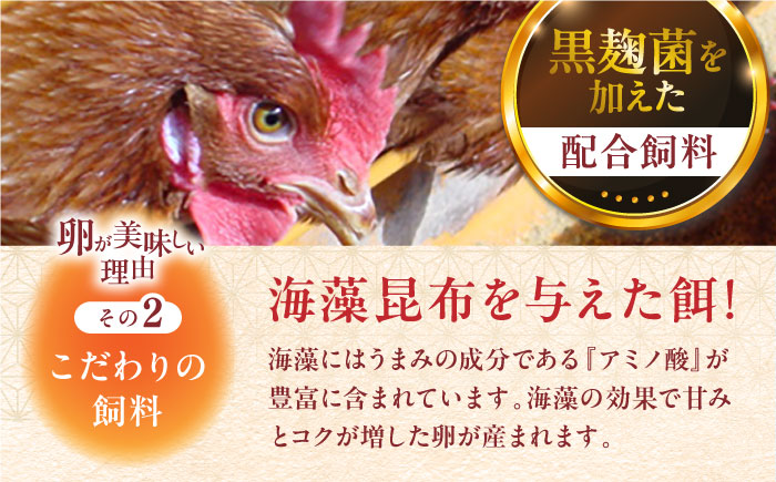 【全3回定期便】熊本県産 熊本そだち 30個入り ( 10個入り × 3パック ) 山都町 たまご 卵【蘇陽農場】 [YBE030]