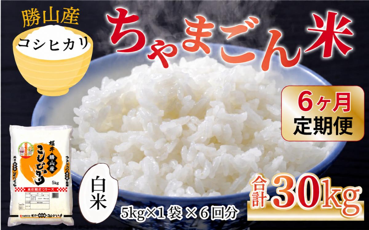 
                  【令和8年産 新米】【定期便6ヶ月連続】勝山のお米 コシヒカリ 精米 5kg（計30kg） | 米 コシヒカリ 新米 精米 定期便 お米定期便 令和8年産 福井県産 福井県 勝山市 勝山のお米 ブランド米 国産米 5kg×6回 30kg お米 主食 農家直送 お取り寄せ 北陸 ごはん 美味しいお米 甘いお米 お得 人気 おすすめ [F-010006]
                