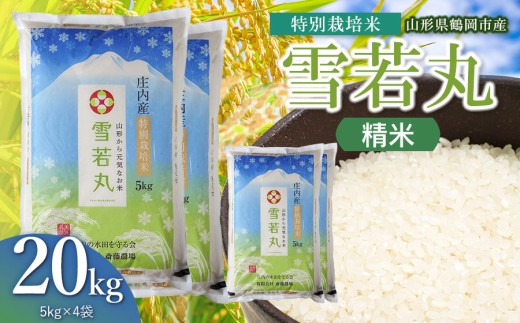 【令和8年産 新米】 斎藤農場の特別栽培米 雪若丸 精米 20kg（5kg×4袋） 山形県鶴岡市 [K-8165] | ゆきわかまる 20キロ 米どころ 庄内米 ブランド米 米 コメ こめ 精米 ご飯 ごはん 美味しい お取り寄せ 農家直送 東北 山形 鶴岡市 国産 おすすめ 人気 返礼品
