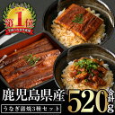 【ふるさと納税】鹿児島県産うなぎ蒲焼3種セット(合計520g・ 長焼き約160g×2尾・カット約50g×2枚・きざみ約50g×2袋) タレ・山椒付き 鰻 うなぎ ウナギ 蒲焼 きざみ ひつまぶし カット カット鰻 鹿児島県産 国産 急速 冷凍【西日本養鰻】