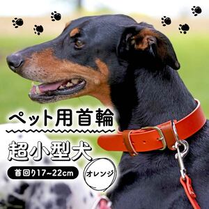 【 ペット 用 】 首輪 超小型犬 オレンジ 17-22cm 本革 ペット