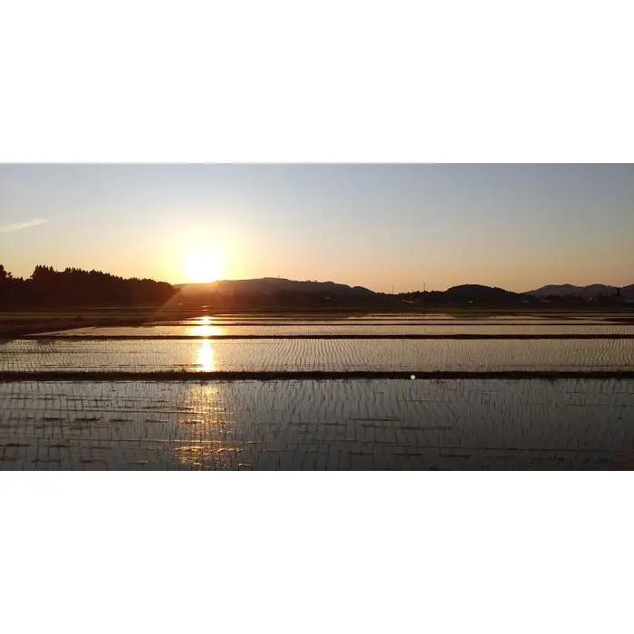 令和8年産　無洗米　魚沼産コシヒカリ特別栽培米　5kg×2