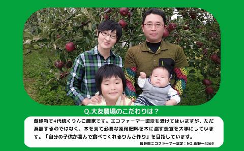 りんご 小ささに訳あり サンふじ（小玉）家庭用5kg 【令和6年度収穫分】 ※沖縄および離島への配送不可 ※2025年1月上旬頃から2025年2月末頃まで順次発送予[1387]